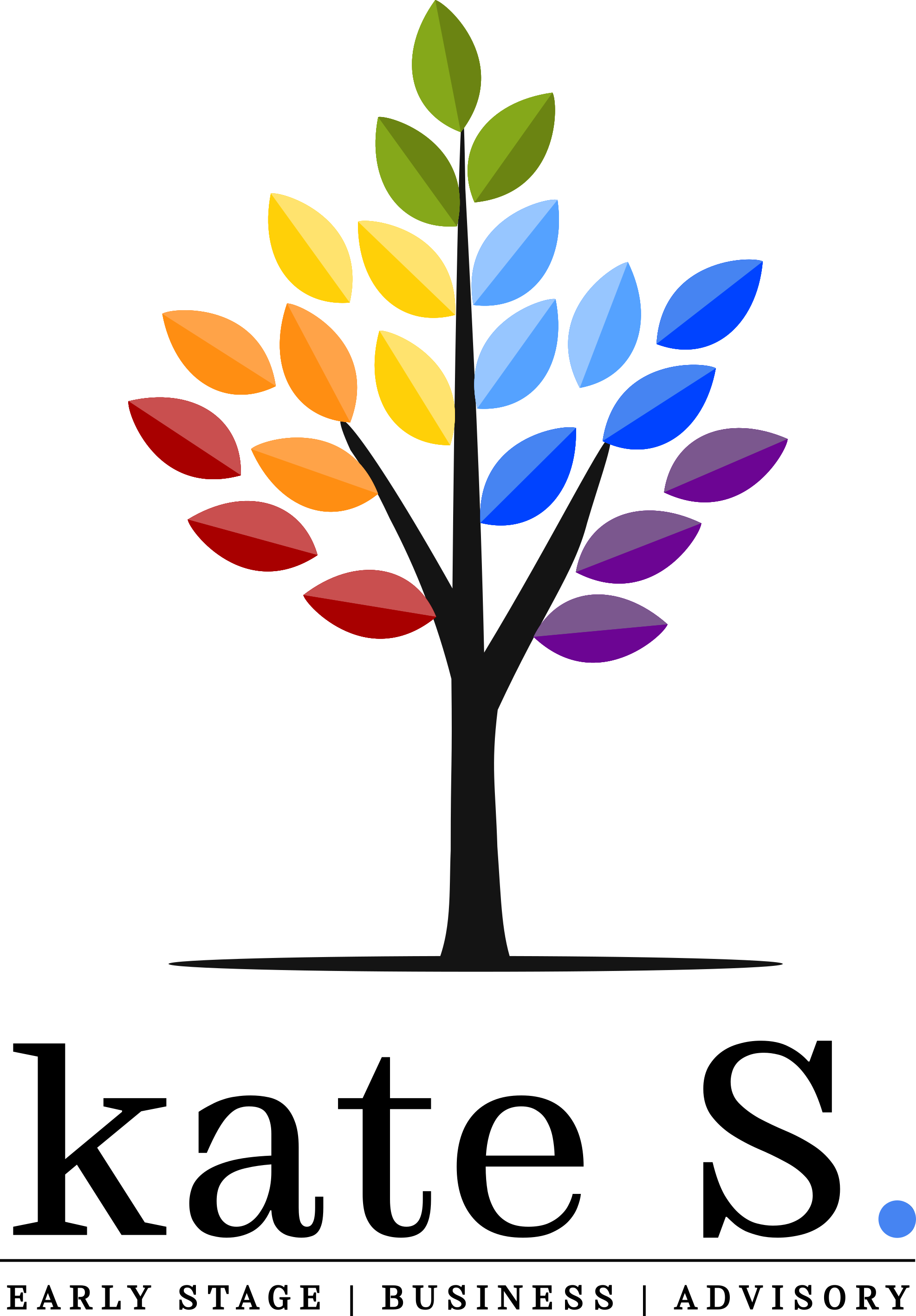 kate S. Early Stage Business Advisory